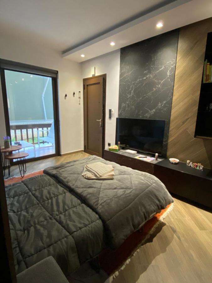 Luxury Apartment